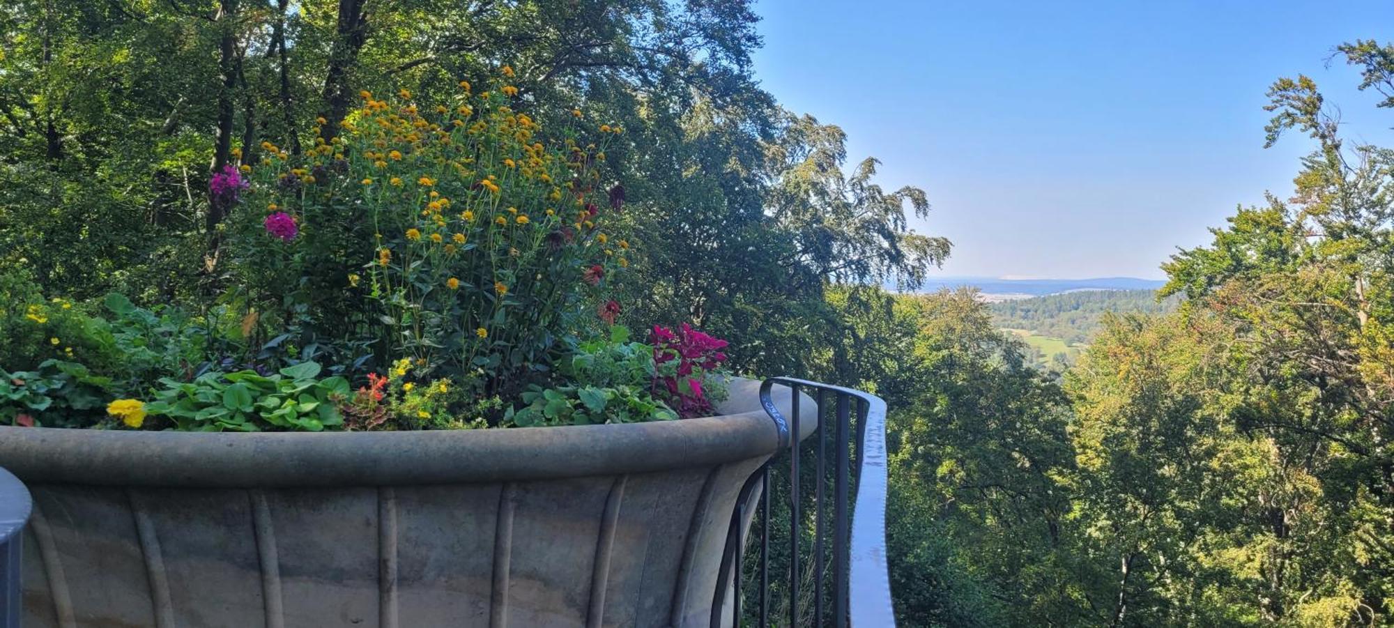Villa Charlotte Bad Liebenstein Bagian luar foto