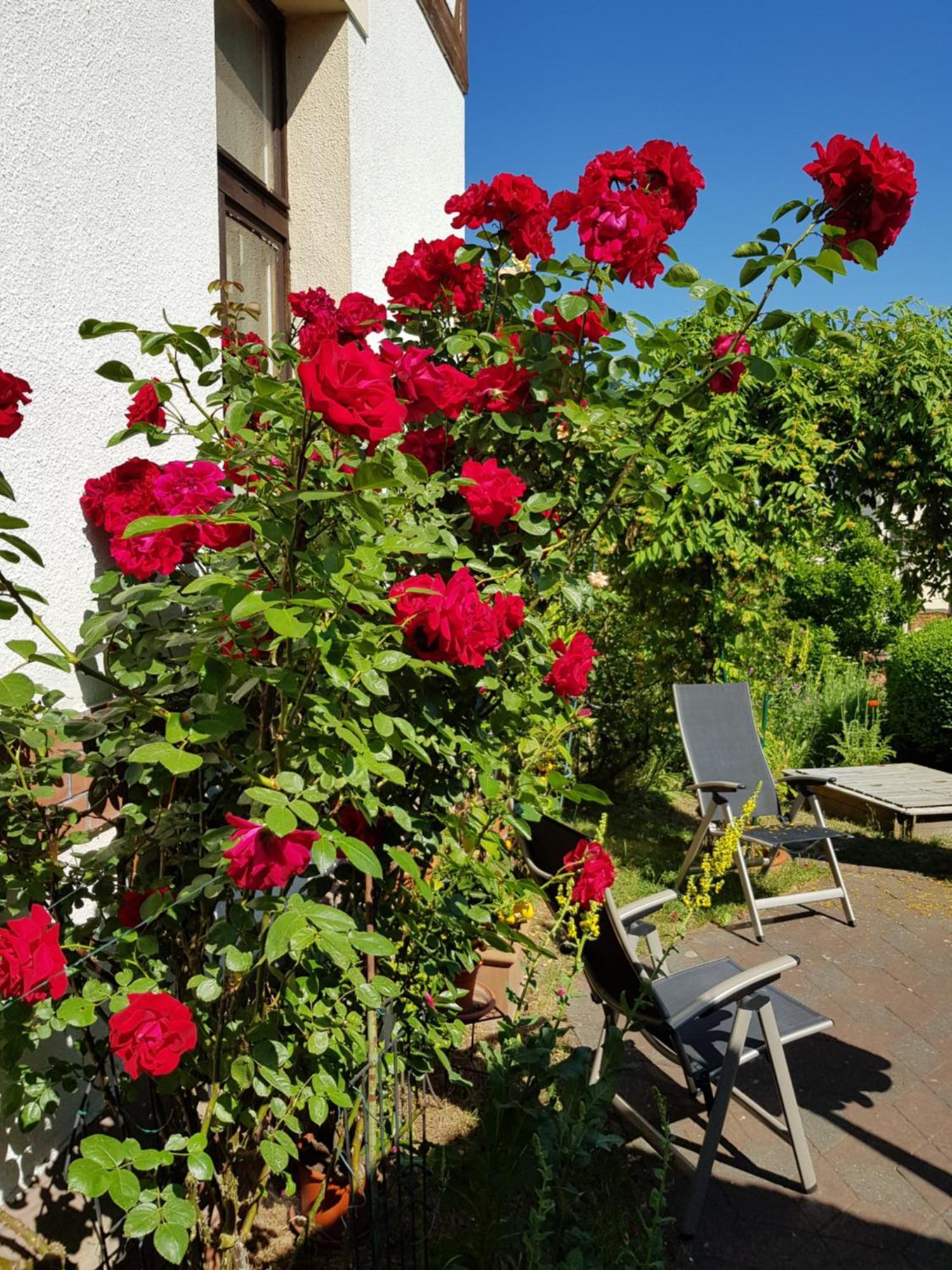 Villa Charlotte Bad Liebenstein Bagian luar foto