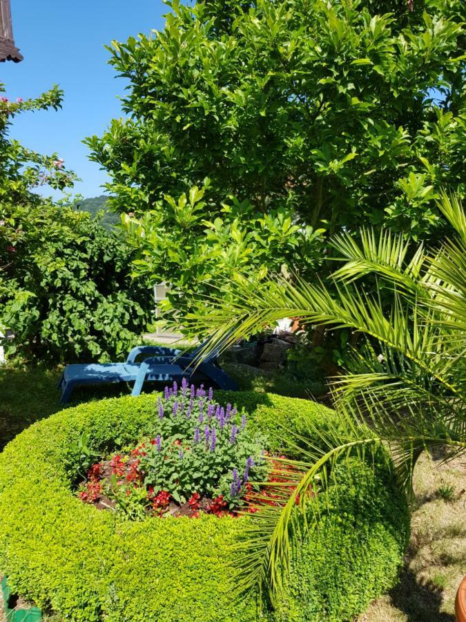 Villa Charlotte Bad Liebenstein Bagian luar foto