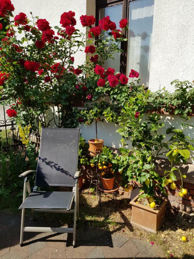 Villa Charlotte Bad Liebenstein Bagian luar foto